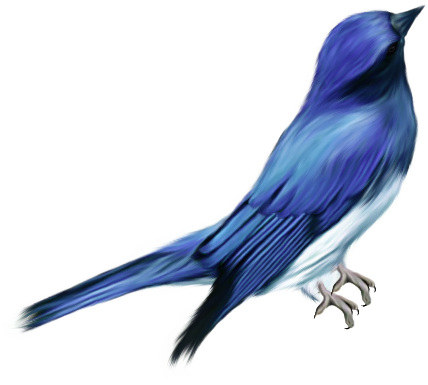 Different Birds, Outdoor Patios, Outdoor Garden Decor, - Pajaro Png (1369x1234), Png Download