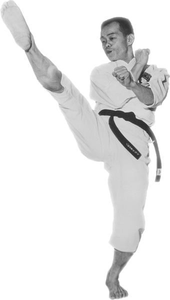 The Jhoon Rhee Institute Of Tae Kwon Do Offers One - Jhoon Rhee Tae Kwon Do (340x598), Png Download