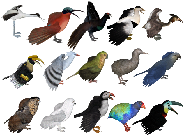 Aves - Zoo Tycoon 2 (640x480), Png Download