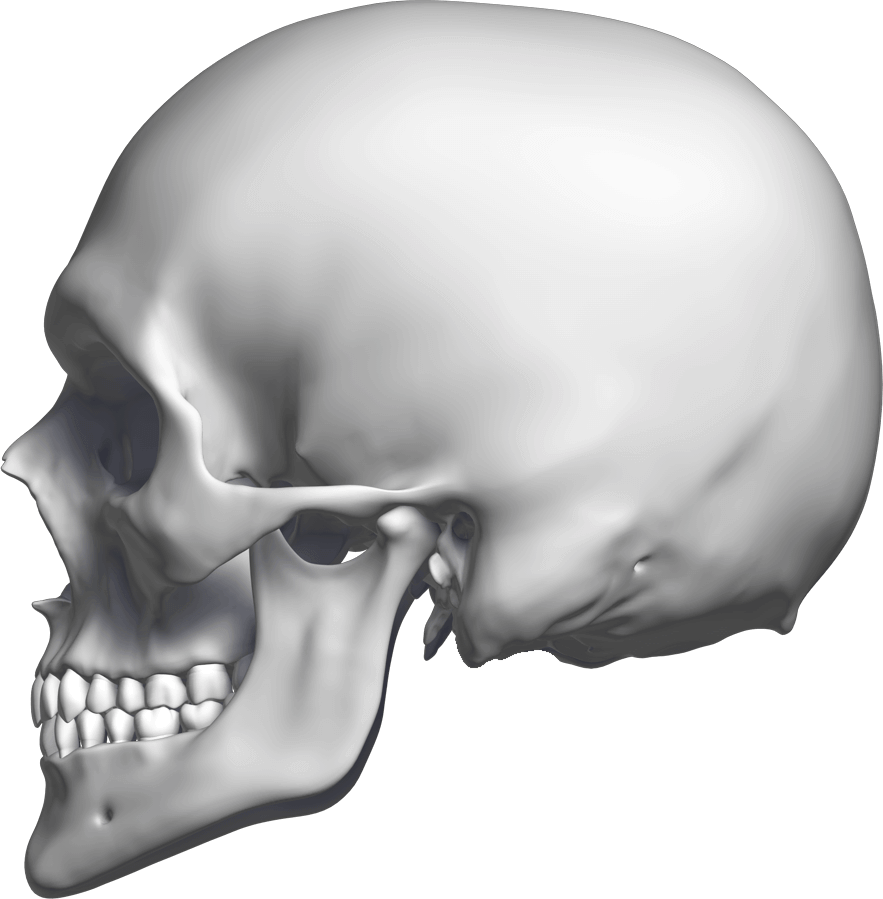 Left 3° - Skull (883x899), Png Download