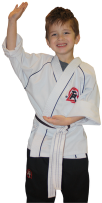 Taekwondo Plus (289x434), Png Download