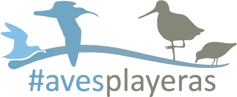 Social Media - Coche Island (839x361), Png Download