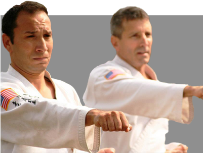 Martial Arts For Adults - Traditional Taekwon-do Dunedin (400x330), Png Download