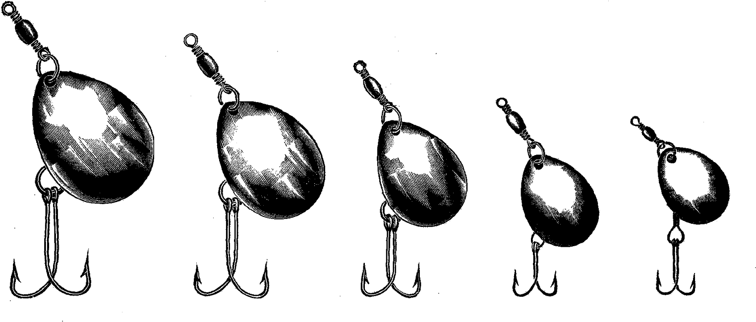 Digital Fishing Lure Downloads - Earrings (1600x736), Png Download