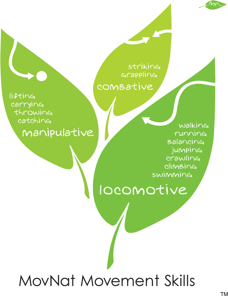 Categories Skills 01 - Movnat Movements (832x1024), Png Download