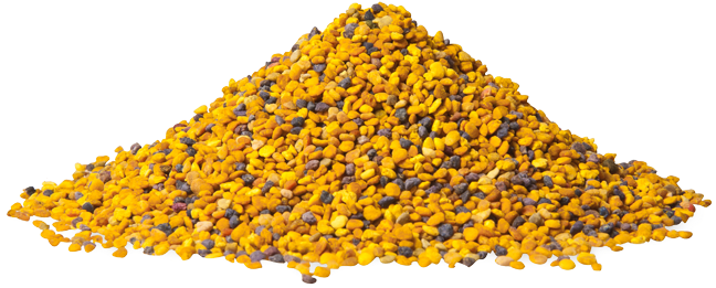 Pollen Is Considered As One Of The Most Nutritious - Nutrisslim Bio Bee Pollen Powder 125 G (700x317), Png Download