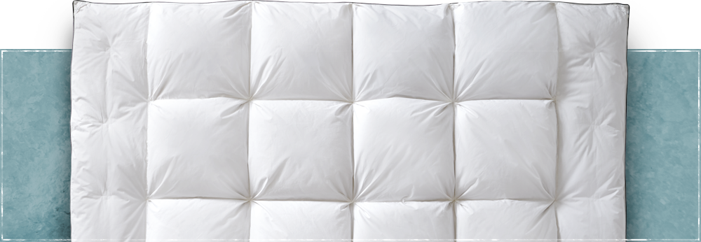 Pillow Sizes Header - Comforter (1000x346), Png Download