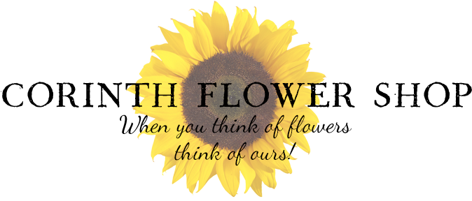 Corinth Flower Shop - Day In The Life Of...: More Amazing Misadventures [book] (700x293), Png Download