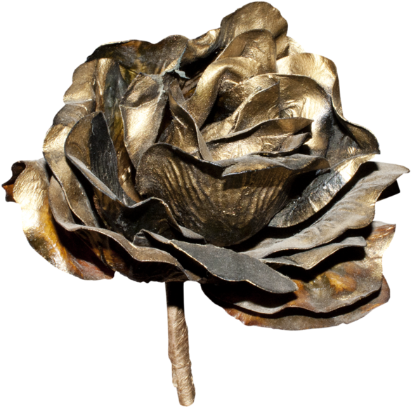 Golden Flowers - Rose (600x591), Png Download