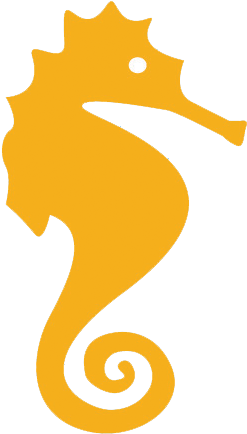 Project Seahorse (482x482), Png Download