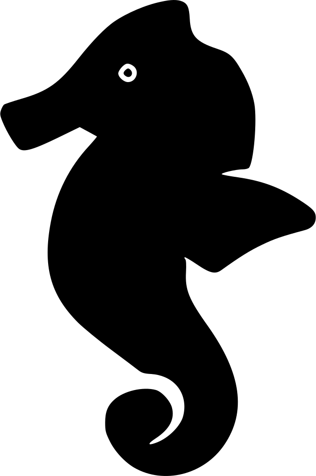 Sea Horse - - Northern Seahorse (650x980), Png Download