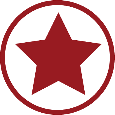 "there Were Real Case Studies That Relate To My Job - Cska Sofía (394x394), Png Download