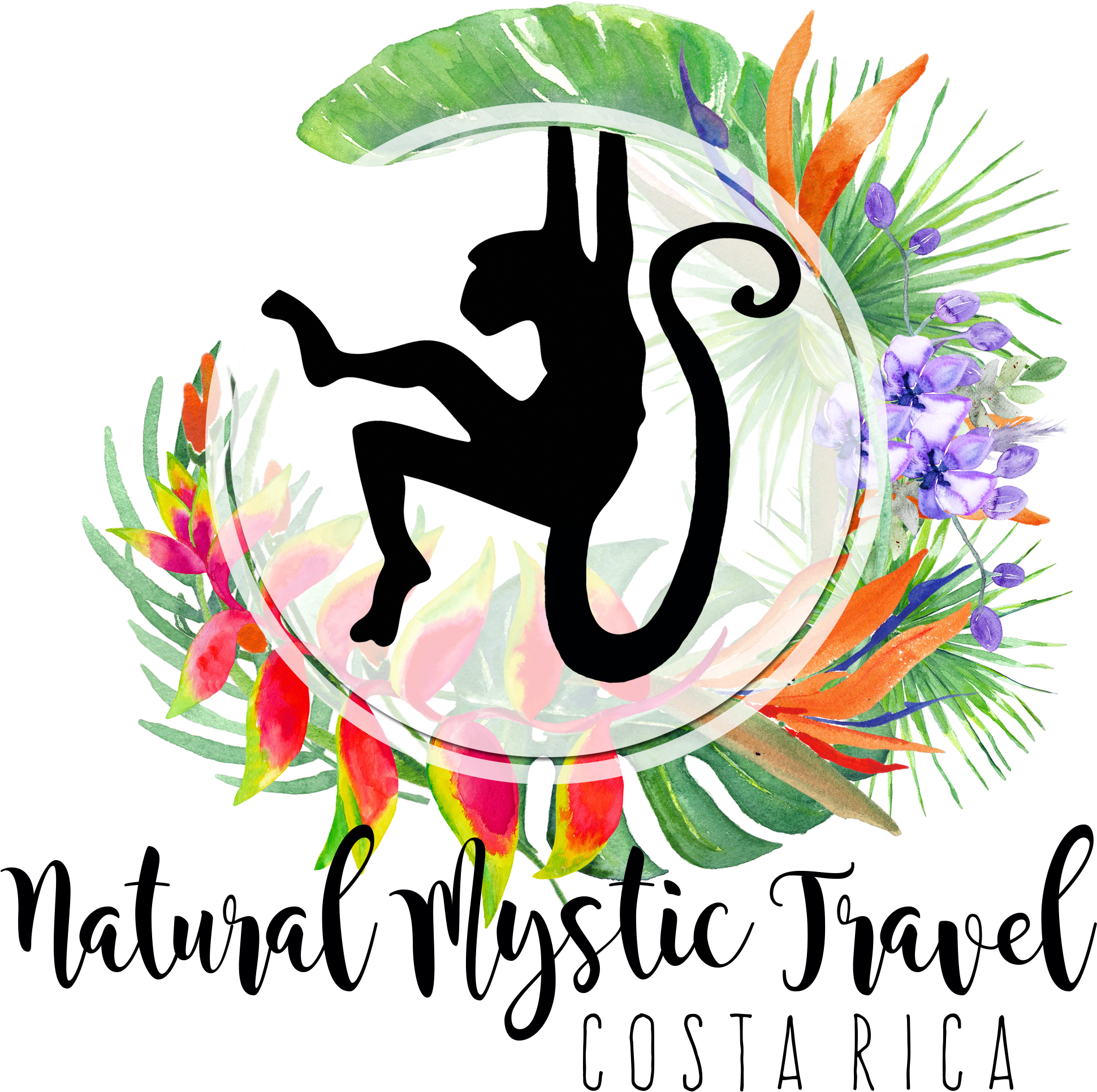 Natural Mystic Travel - Infinite Number Of Monkeys: A Guide (2000x2000), Png Download