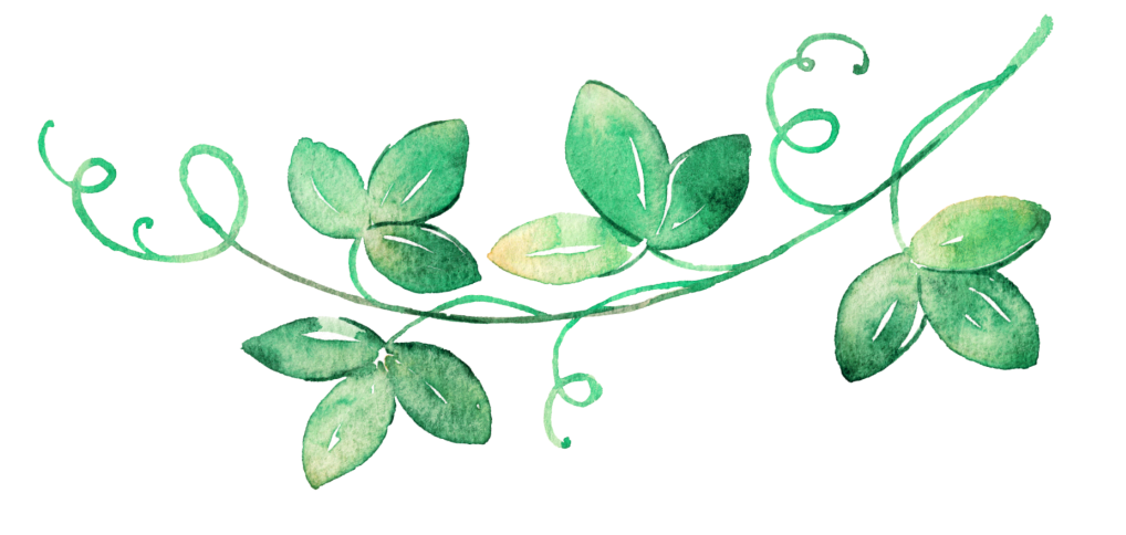 Book A Date - Portable Network Graphics (1024x483), Png Download