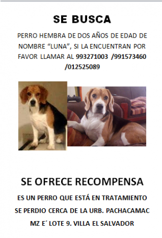 El Sábado 5 De Mayo De Este Año Se Perdió Mi Perrita - Adoption (640x480), Png Download