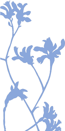 Subscribe - New South Wales (540x550), Png Download