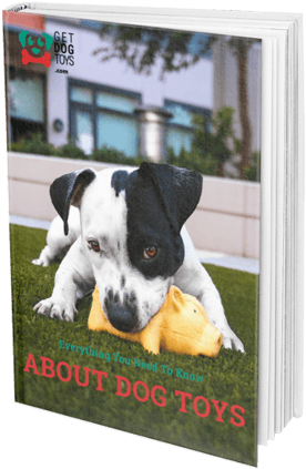 Do You Want To Know Which Dog Toy Is Best Suited For - Pasto Natural Pasto Sintetico (300x446), Png Download