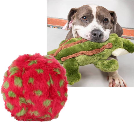 Fluff & Tuff - Dog Catches Something (463x422), Png Download