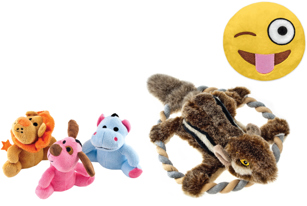 Plush Pet Toys - Dog Toy (681x429), Png Download