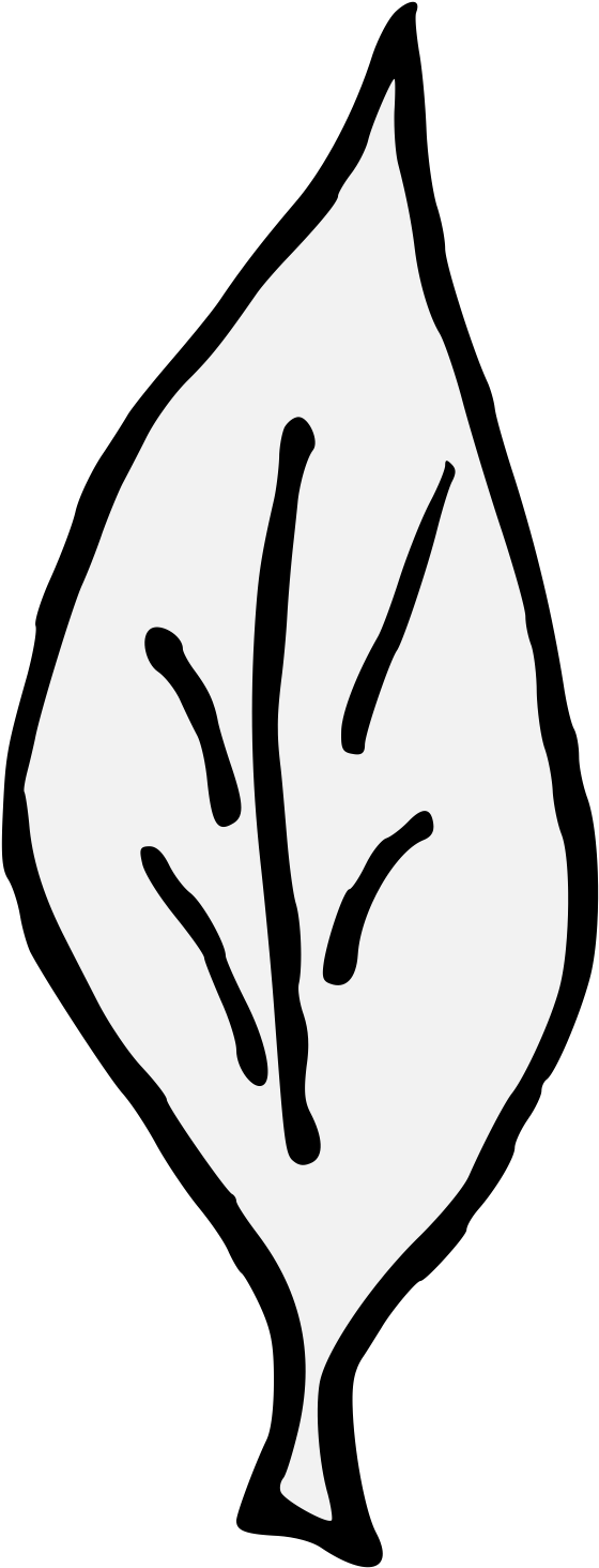 Laurel Traceable Heraldic Art Png Laurel Leaves Svg (599x1499), Png Download