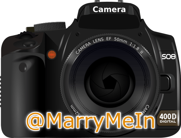 Cropped Nick And Zoe Camera Sticket 4 - Digital Camera Clip Art (617x471), Png Download