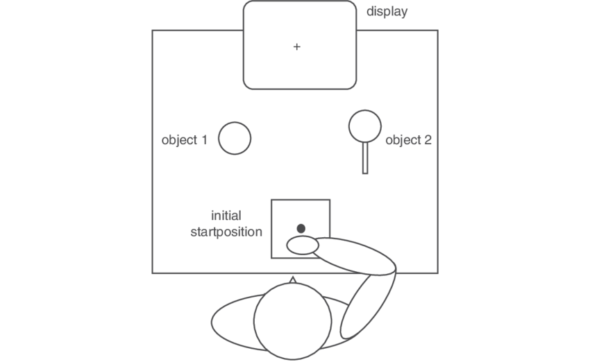 A Cup , A Magnifying Glass (object 2) And A Computer - Diagram (850x522), Png Download