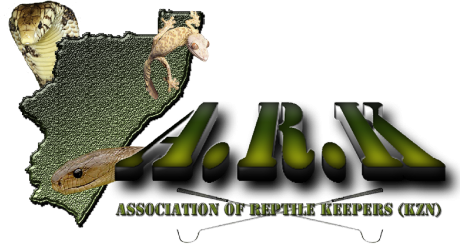 Agama (940x493), Png Download