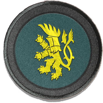 I Tried To Export From Photoshop Also On Tga And Png - Fia Arma (350x350), Png Download