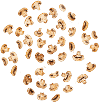 Hongos-extra - Seed (400x400), Png Download