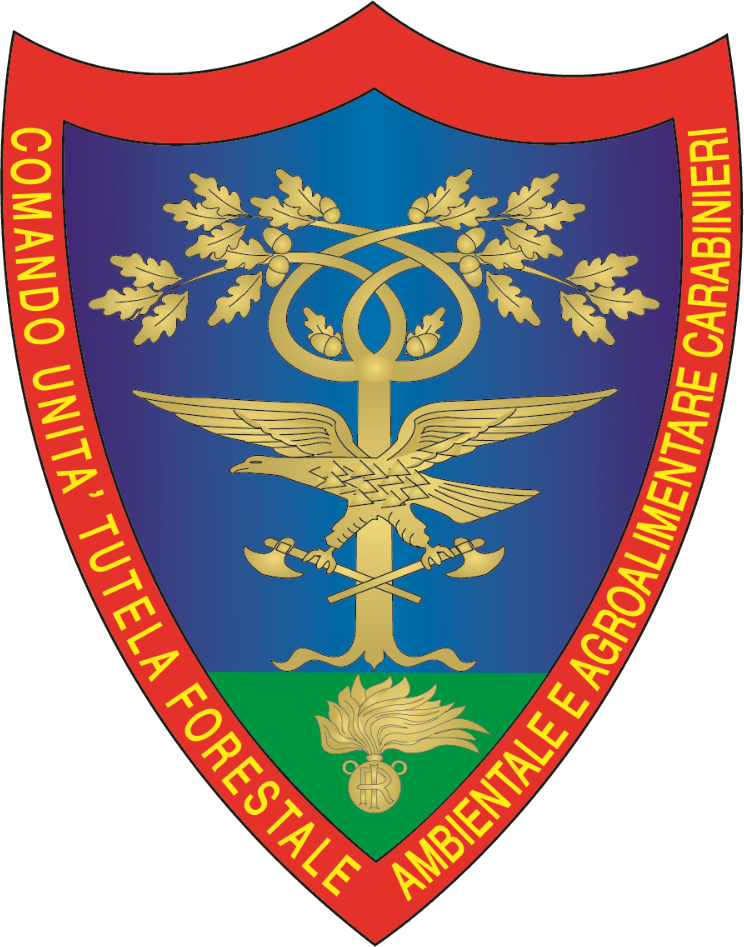 Arma Dei Carabinieri Comando Unità Tutela Forestale, - Comando Unità Tutela Forestale Ambientale E Agroalimentare (744x947), Png Download