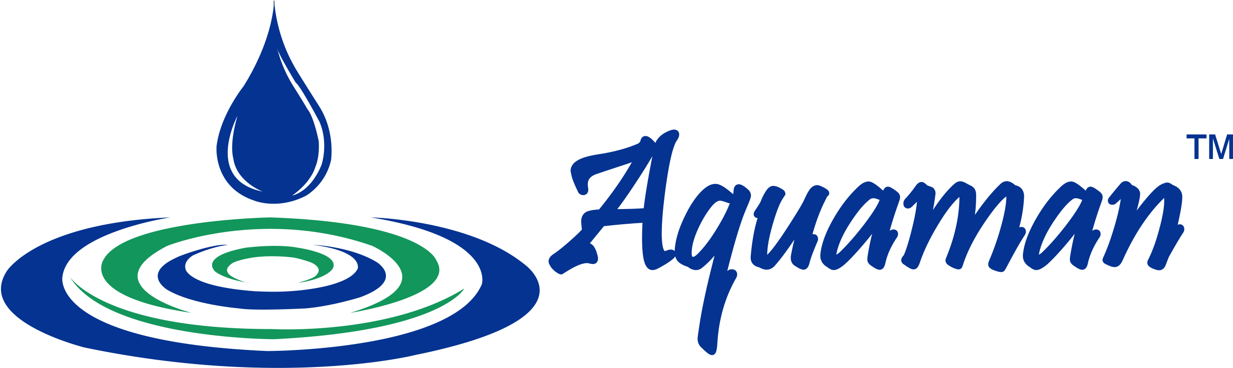 Aquaman Offers The Highest Quality Products Available, - Calligraphy (2806x804), Png Download