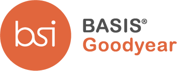 Basis Goodyear - Shekhawati University 1st Year Result (600x242), Png Download