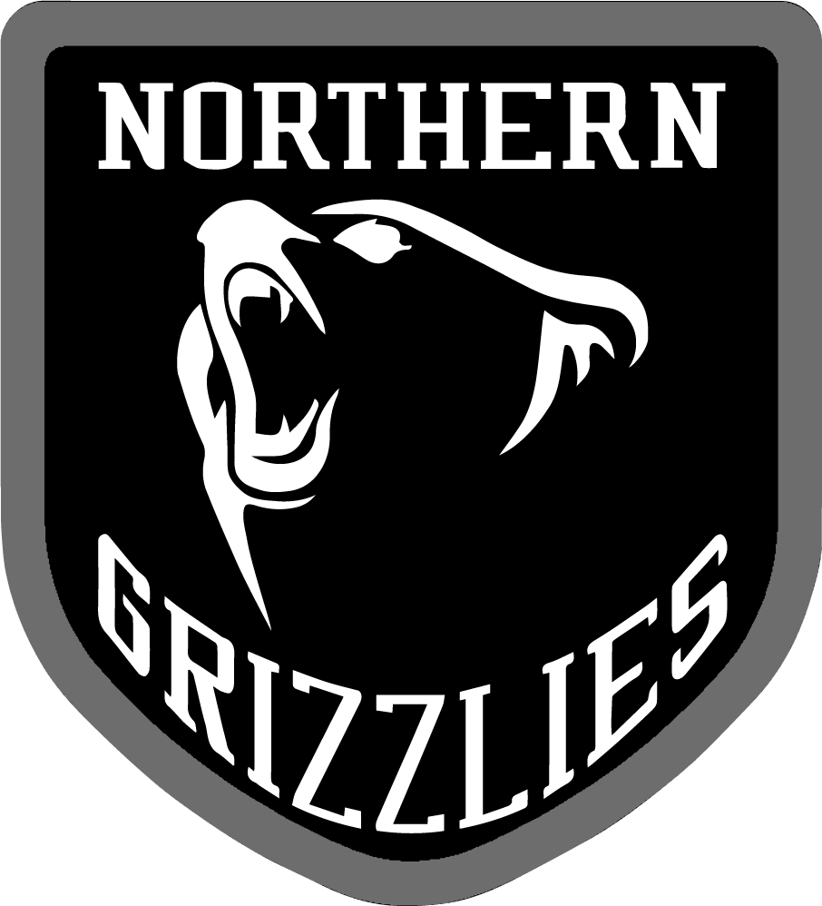 Club Name, Northern Grizzlies - Memphis Grizzlies (906x998), Png Download