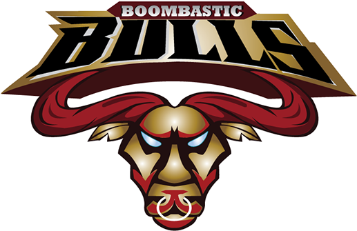 Logo For Cricket Team (600x424), Png Download