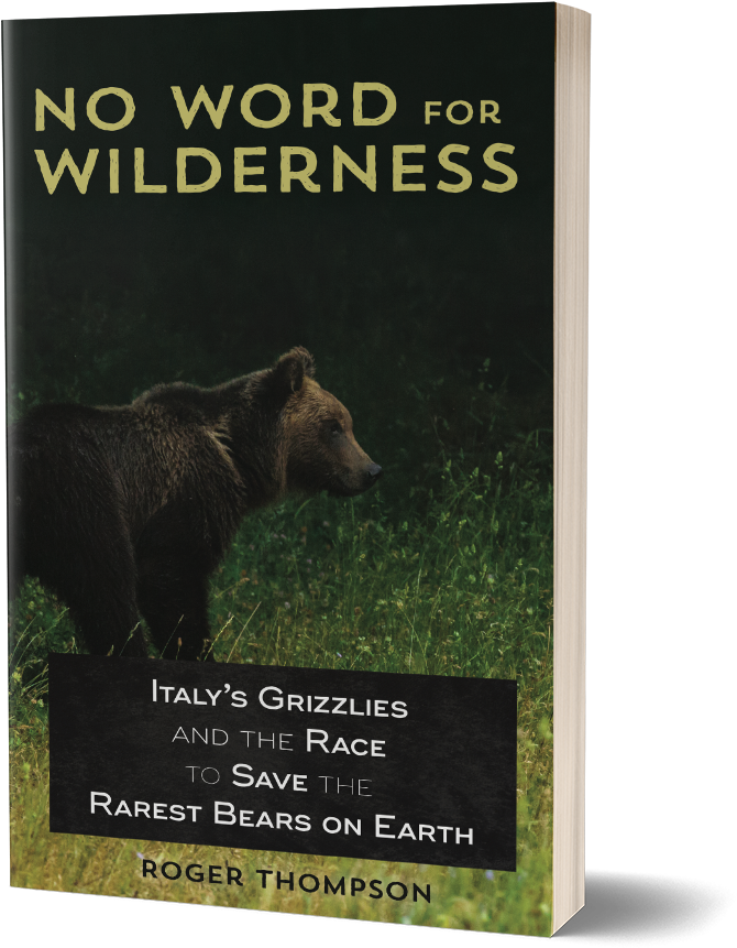 Cover Of No Word For Wilderness - No Word For Wilderness: Italy's Grizzlies And The Race (800x961), Png Download