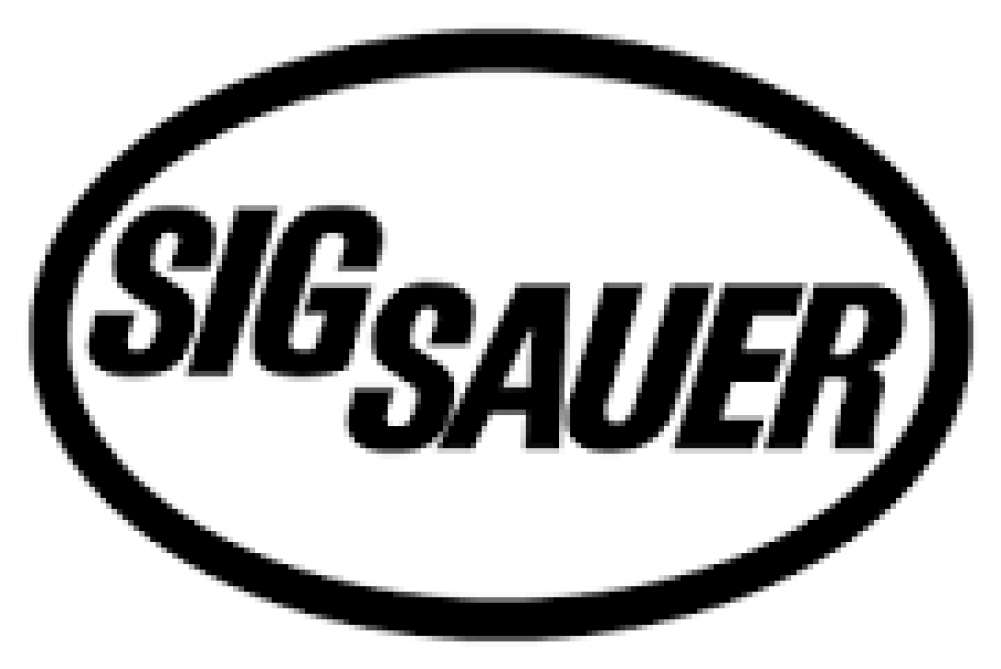 Sig P238 Hd Sa Pst 380 6rd Ss Pistol - Sig Sauer Logo Png (1000x1000), Png Download