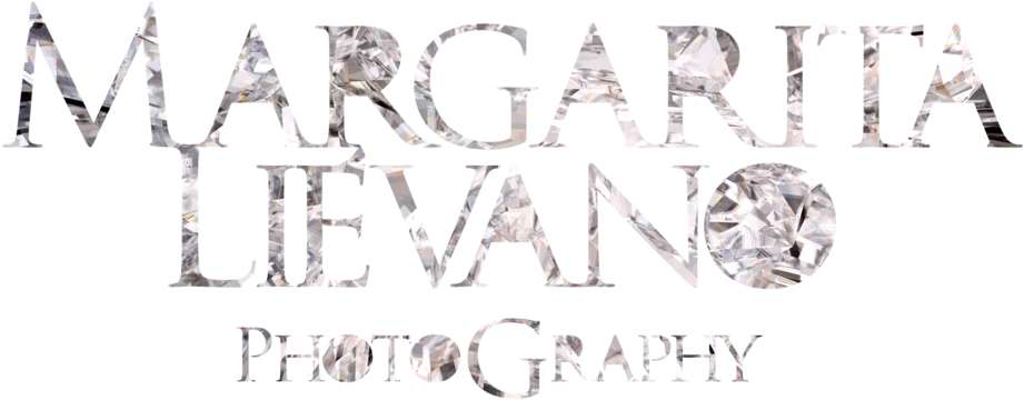Margarita Liévano - Engagement Ring (960x394), Png Download
