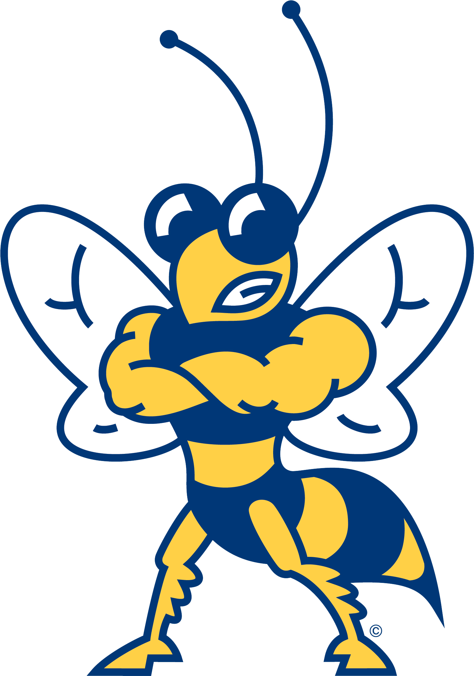Howard Payne - Howard Payne University Yellow Jackets (2184x2184), Png Download