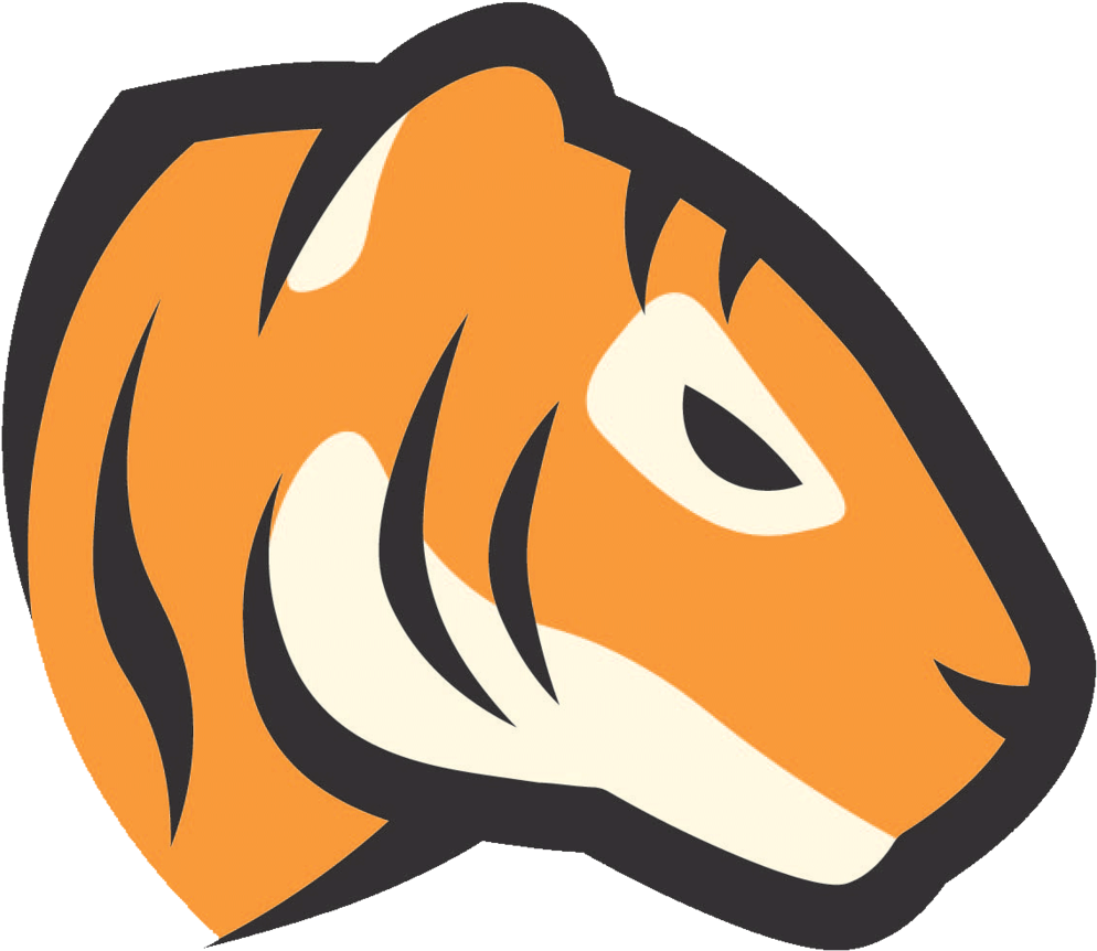 Tiger - Tiger Hacks (1024x1024), Png Download