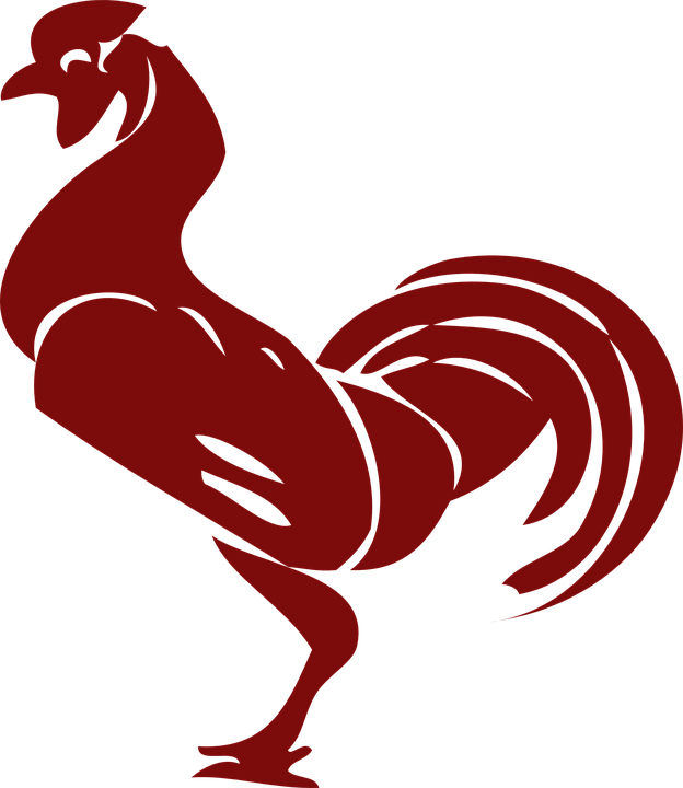 Rooster Clip Art (624x720), Png Download