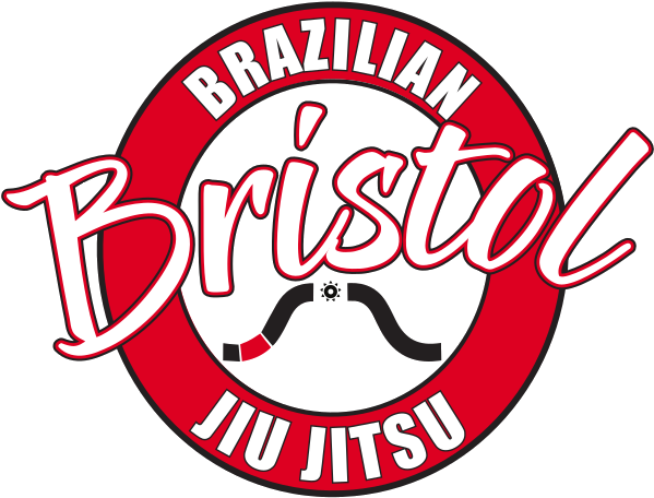 100 Travelite Dr Bristol Va 24201 Goosecreek Shopping - Aviation Logo Wings (800x700), Png Download