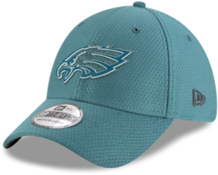 Philadelphia Eagles Nfl 39thirty 2018 Training Camp - New Era Philadelphia Eagles (480x270), Png Download