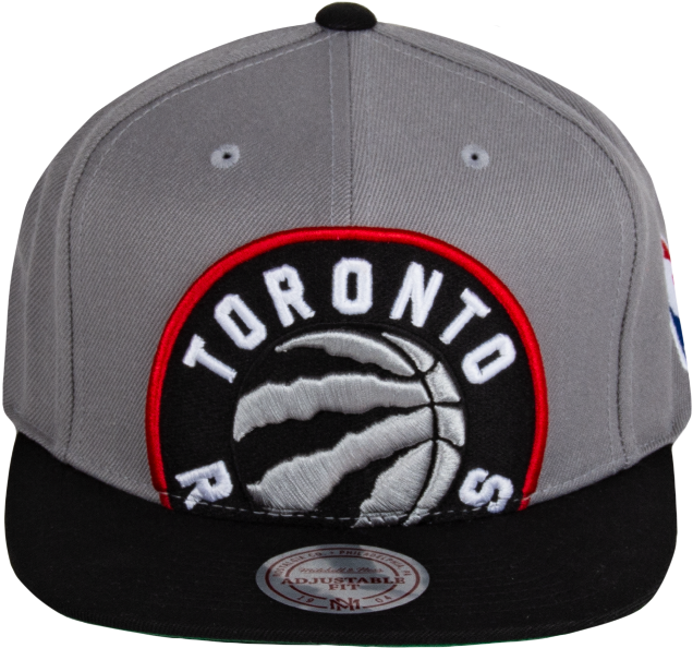 Picture Of Nba Toronto Raptors Cropped Xl Logo Snapback - Capinha De Celular Nba - Moto Z Force - Toronto Raptors (1000x1000), Png Download