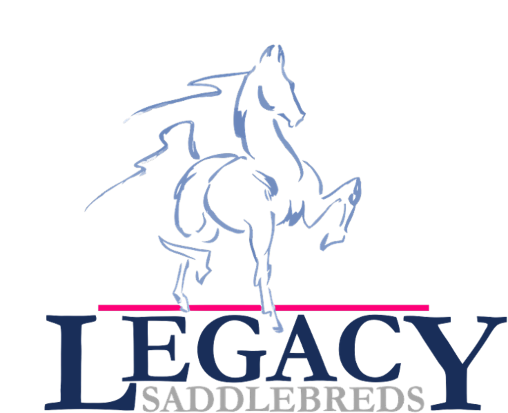 Legacy Saddlebreds (800x662), Png Download