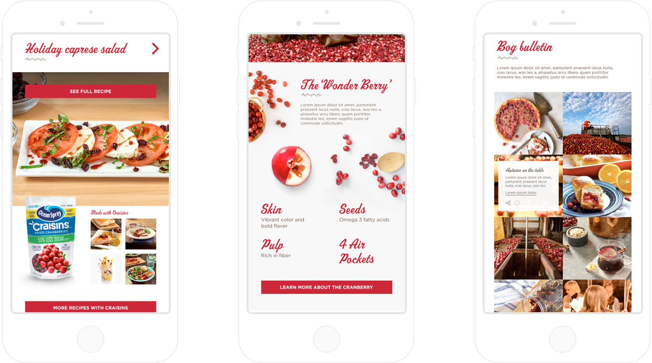 5b50e7a63bc46dec82ed5788 Inner Page Ocean Spray - Mobile Phone (1423x840), Png Download