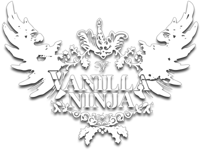 Logo Image - Vanilla Ninja Logo (800x310), Png Download