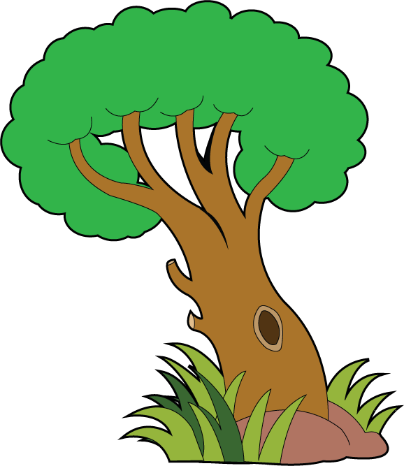 Nature Clipart Kid Png - Trees And Plants Clipart (578x667), Png Download