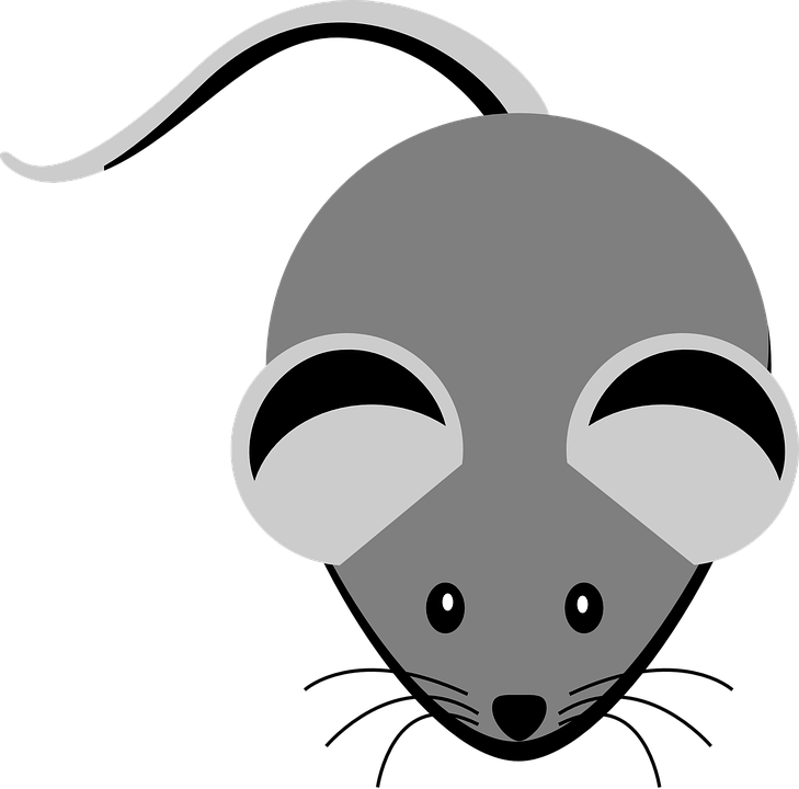 Mice Clipart Nose - Grey Clipart (729x720), Png Download