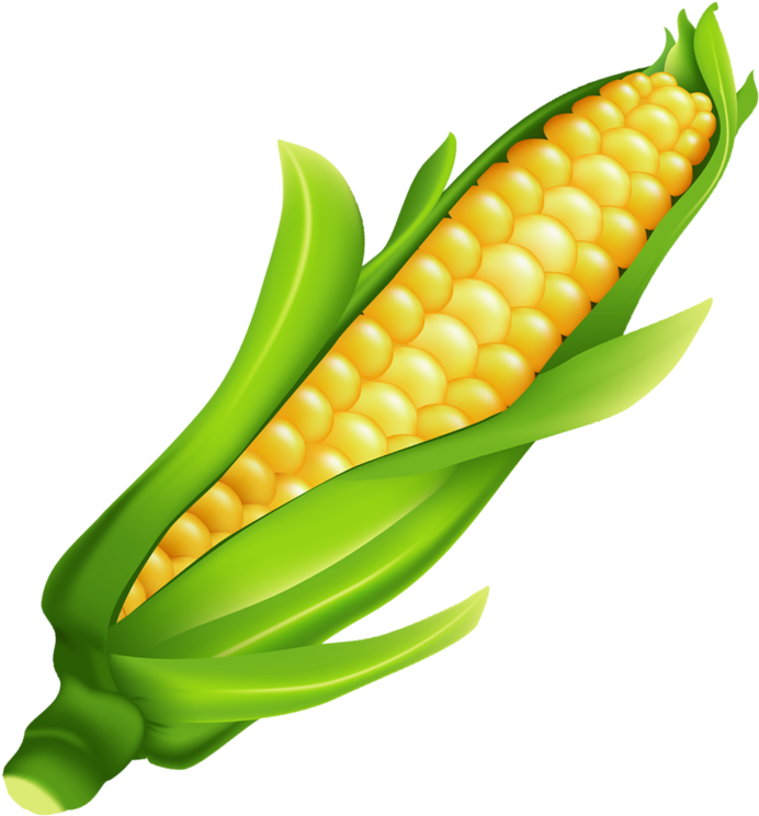 Ear Of Corn Clipart - Mazorca De Maiz Png (692x744), Png Download