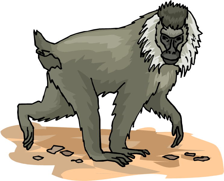 Monkey Clipart Clipart - Baboons (750x635), Png Download
